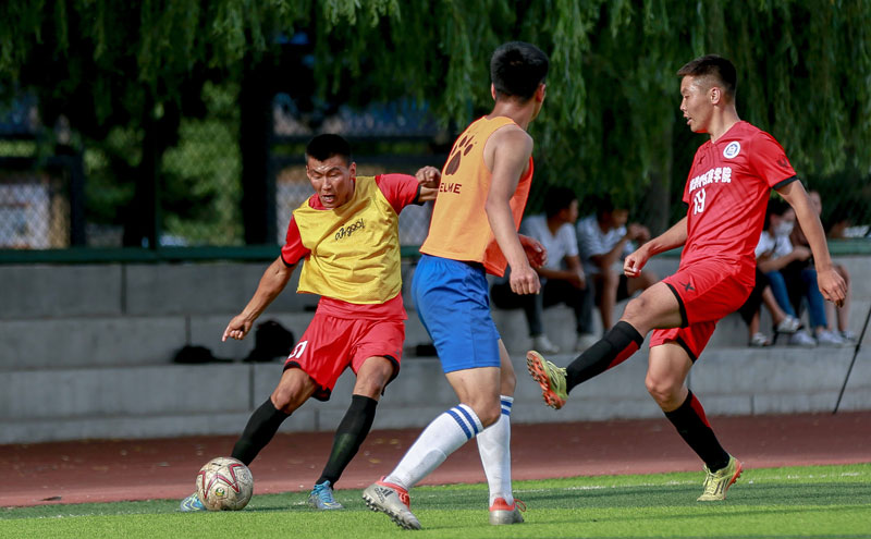 篮球勇士新签球员快速融入