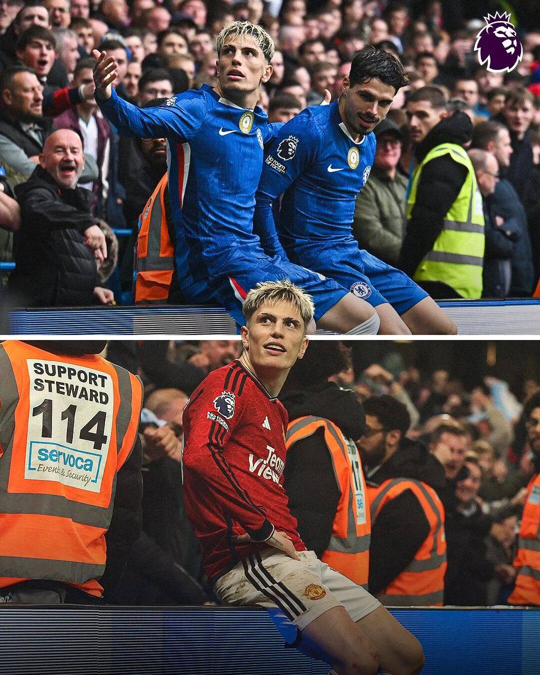 IBF重磅通知：闪电桑切斯与小托雷斯将争夺世界拳王强制挑战权